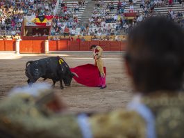 Una de las corridas de las feria de Guadalajara de 2025 en imagen captada por Álvaro Arroyo para La Crónic@.