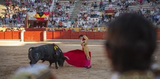 Una de las corridas de las feria de Guadalajara de 2025 en imagen captada por Álvaro Arroyo para La Crónic@.