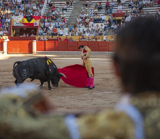 Una de las corridas de las feria de Guadalajara de 2025 en imagen captada por Álvaro Arroyo para La Crónic@.