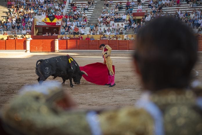 Una de las corridas de las feria de Guadalajara de 2025 en imagen captada por Álvaro Arroyo para La Crónic@.