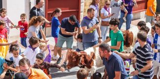 Encierro chico de Guadalajara el 21 de septiembre de 2025. (Foto: Ayuntamiento de Guadalajara)