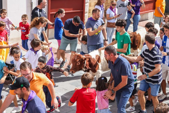 Encierro chico de Guadalajara el 21 de septiembre de 2025. (Foto: Ayuntamiento de Guadalajara)