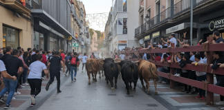 Los encierros de Guadalajara, en la Calle Mayor hacia Santo Domingo, recreados por Inteligencia Artificial una semana antes de su celebración. (Imagen: IA La Crónic@)