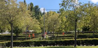 Ni para limpiar Guadalajara se ponen de acuerdo PP y PSOE Operarios de limpieza en el recinto ferial de Adoratrices el pasado martes, 9 de septiembre de 2025. (Foto: La Crónic@)