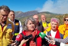 Piden una dimisión muy relevante por el incendio de la Sierra Norte La consejera de Desarrollo Sostenible, Mercedes Gómez, ha explicado que, dada la complejidad del incendio de Peñalba de la Sierra, que este viernes ha escalado a Nivel 2, se ha decidido el uso técnico del fuego como herramienta para hacer cortafuegos especiales y evitar que se siga extendiendo. El incendio ha avanzado más de lo que se esperaba durante la noche, hasta alcanzar las 1.300 hectáreas.
