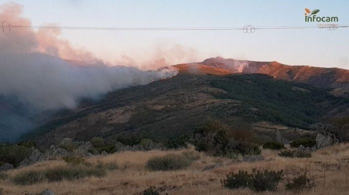 Incendio declarado en Peñalba de la Sierra, en el Pico del Lobo.