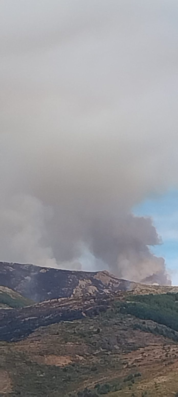 incendio pico del lobo
