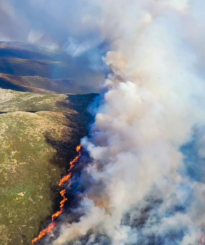 incendio de peñalba