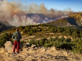 Incendio del Pico del Lobo. (Foto: EP)