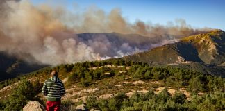 Guadalajara ha tenido 142 incendios forestales en 2025 Incendio del Pico del Lobo. (Foto: EP)