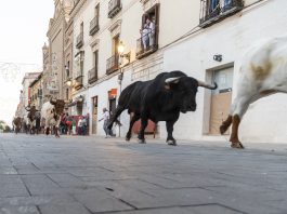 El primer encierro a la altura del Jardinillo, en fotografía de Luis Díaz Viejo.