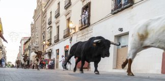 El primer encierro a la altura del Jardinillo, en fotografía de Luis Díaz Viejo.