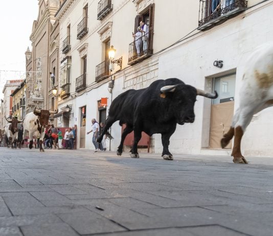 El primer encierro a la altura del Jardinillo, en fotografía de Luis Díaz Viejo.