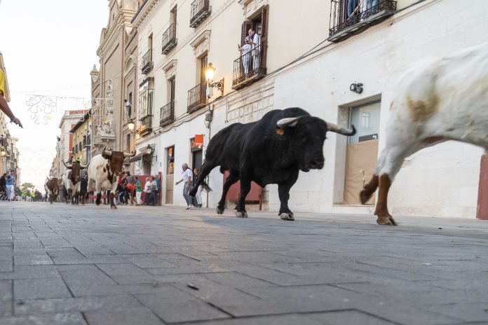 El primer encierro a la altura del Jardinillo, en fotografía de Luis Díaz Viejo.