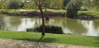 La gripe aviar llega a Valdeluz por unos patos del parque Se sospechaba que los patos del lago del parque de Valdeluz pudieran tener la gripe aviar. Así se ha confirmado. (Foto: Google Maps)