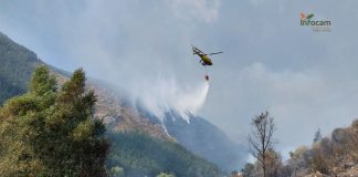 incendio pico del lobo
