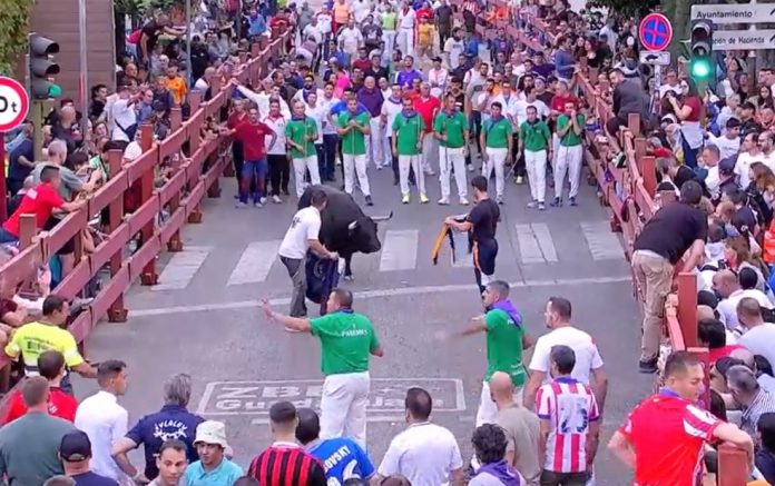 Inacabable el encierro del viernes en Guadalajara. (Imagen de CMM Televisión)
