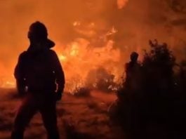 Trabajo contra el fuego de Peñalba de la Sierra durante la madrugada.