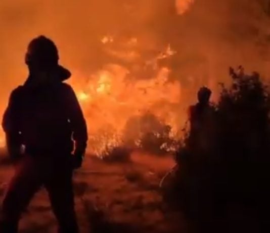 Trabajo contra el fuego de Peñalba de la Sierra durante la madrugada.