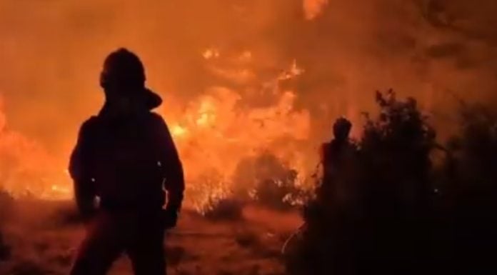 Trabajo contra el fuego de Peñalba de la Sierra durante la madrugada.