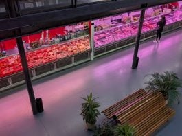 Mercado de Abastos de Guadalajara el 11 de octubre de 2025. (Foto: La Crónic@)