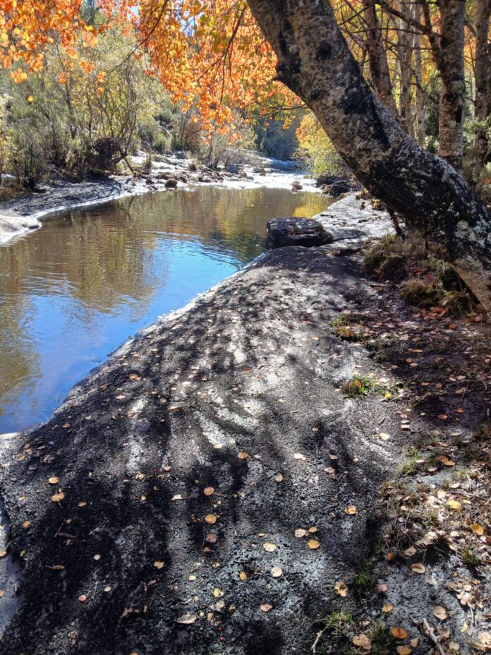 Imagen del río Jarama aportada por Ecologistas en Acción.