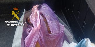 El perro muerto estaba en el maletero. (Foto: Guardia Civil)