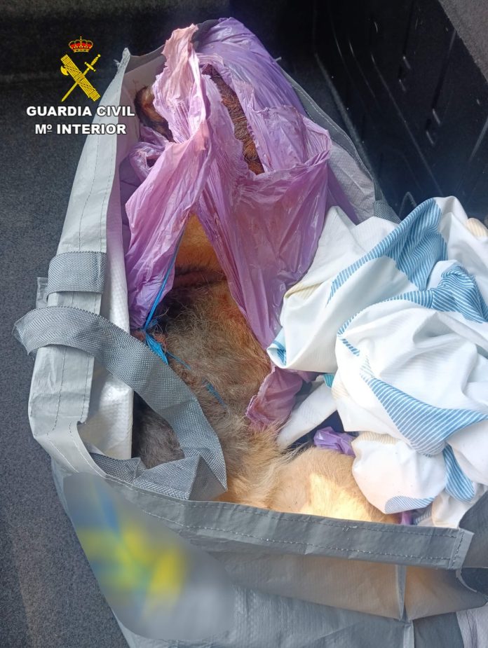 El perro muerto estaba en el maletero. (Foto: Guardia Civil)