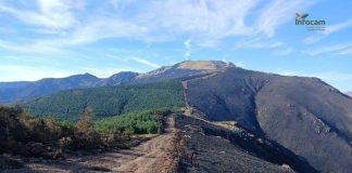 La zona del Pico del Lobo después del incendio. (Foto: Infocam)