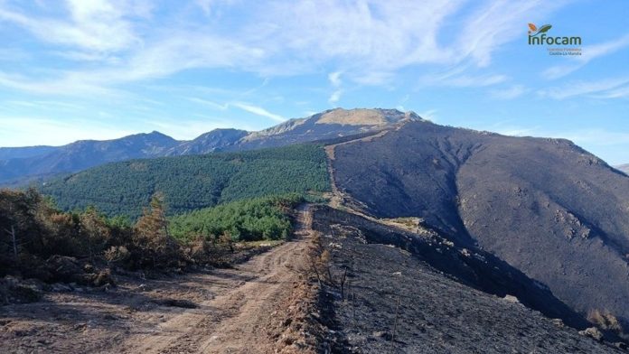 La zona del Pico del Lobo después del incendio. (Foto: Infocam)