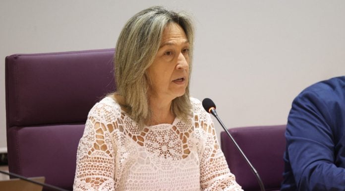 Guarinos saca pecho en Guadalajara mientras Alberto Rojo vota en Madrid Ana Guarinos, en el Debate sobre el Estado de la Ciudad de octubre de 2025.