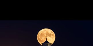 Uceda según Miriam Blanco Carazo.