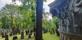 A falta de imagen de nuestro "cementerio fantasma", ilustramos el artículo de El Paseante con otro también muy especial, judío, que sólo descubre el que se adentra en medio de un bosque cerrado, en Potsdam, a pocos kilómetros de Berlín. (Foto: La Crónic@)