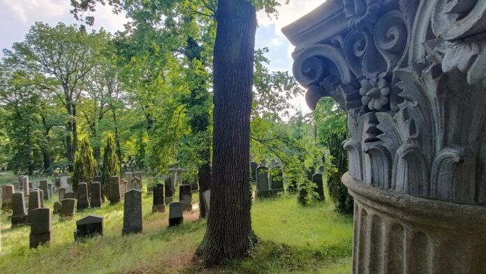 A falta de imagen de nuestro 