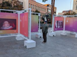 Exposición de Cinfa en el Jardinillo de Guadalajara. (Foto: La Crónic@)