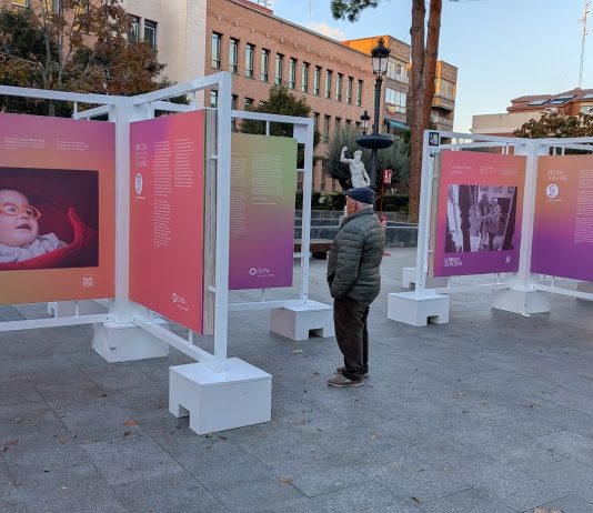 Exposición de Cinfa en el Jardinillo de Guadalajara. (Foto: La Crónic@)
