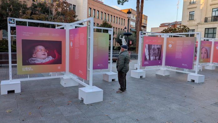 Exposición de Cinfa en el Jardinillo de Guadalajara. (Foto: La Crónic@)