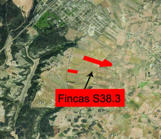 Vista cenital del suelo que sale a subasta en Horche.