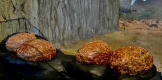 Huevos de titanosaurios descubiertos en la provincia de Guadalajara.