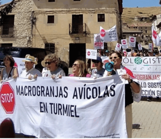 Manifestación el 21 de junio de 2025 contra una explotación avícola en el Señorío de Molina, en la provincia de Guadalajara.