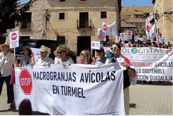 Manifestación el 21 de junio de 2025 contra una explotación avícola en el Señorío de Molina, en la provincia de Guadalajara.
