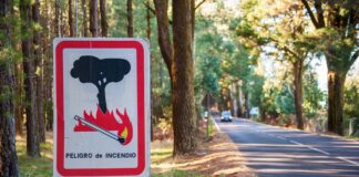 peligro-de-incendio-forestal