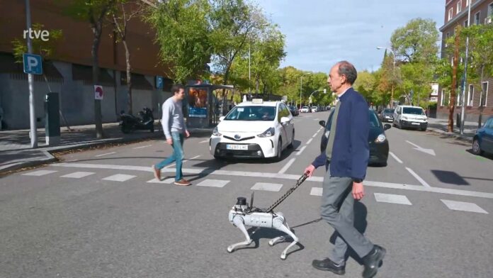 Perro robot del CSIC.