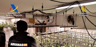 Interior del chalet con plantas de marihuana en Trijueque, desmantelado en octubre de 2025.