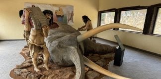 Recreación de una cacería neandertal que ahora puede verse en Tamajón.