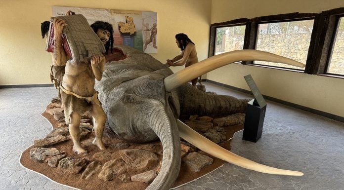 Recreación de una cacería neandertal que ahora puede verse en Tamajón.