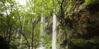 Sistema de irrigación reconocidos por la UNESCO, en Omán.