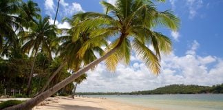 A las playas de Brasil directamente desde Madrid con Iberia Playa de Recife.