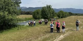 Rutas guiadas por la provincia de Toledo.
