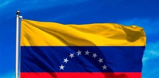 Venezolanos de Guadalajara celebran la caída de Maduro Bandera de Venezuela.